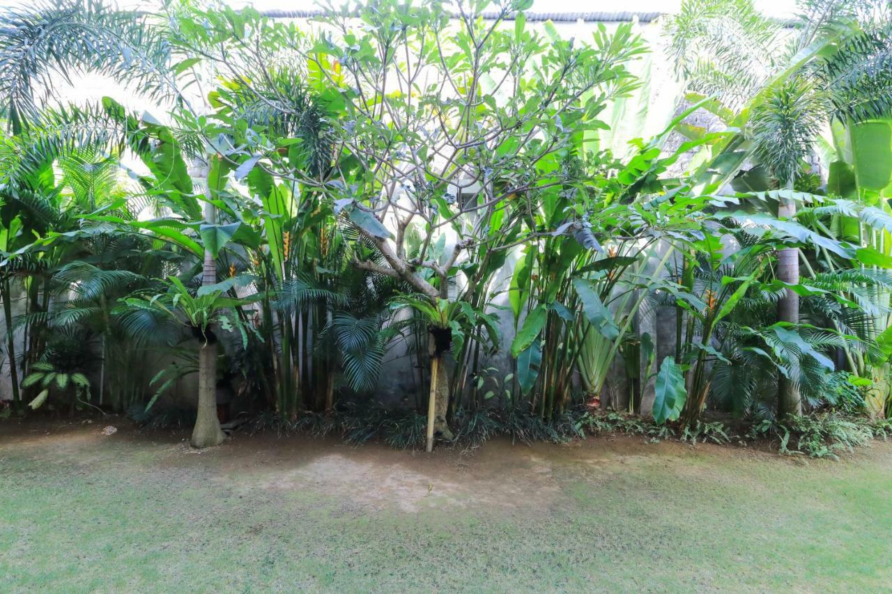 Kubu Kenak Guesthouse Seminyak  Exterior photo